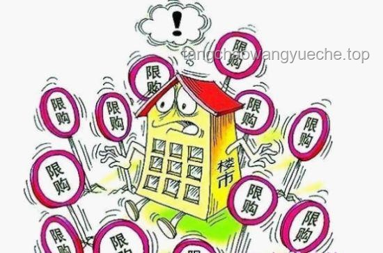 **一大批华人父母返贫边缘现象与社会经济变迁对比分析**
